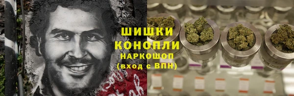 мдпв Михайлов