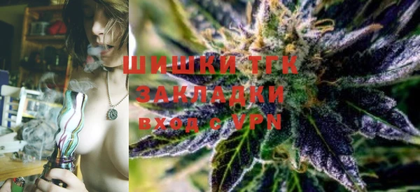 PSILOCYBIN Медвежьегорск