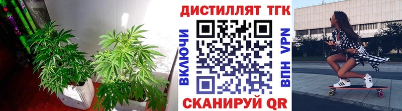 ОМГ ОМГ   Петухово  Дистиллят ТГК Wax 