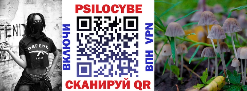 где купить наркоту  Петухово  гидра   Псилоцибиновые грибы ЛСД 