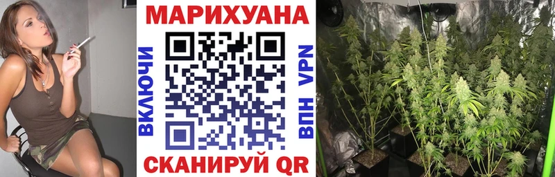 МАРИХУАНА гибрид  Петухово 